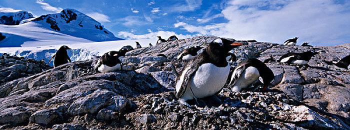 《龙之信条2》幻术师介绍视频 召唤幻象发动攻击