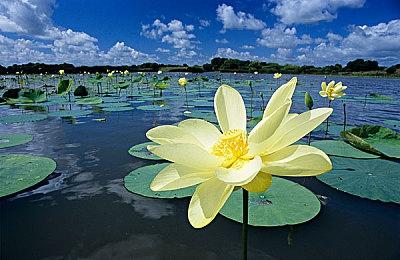 《战地2042》大量概念图 火箭发射场原本有洪水