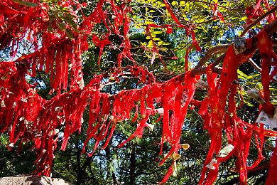 《灵魂骇客2》第四弹PV公开 游戏8月26日发售